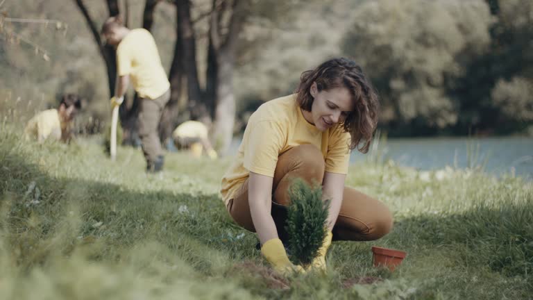 Best Root Management and Removal  in Airmont, NY